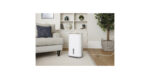Dry Arete One 20L Déshumidificateur à compresseur et purificateur d'air